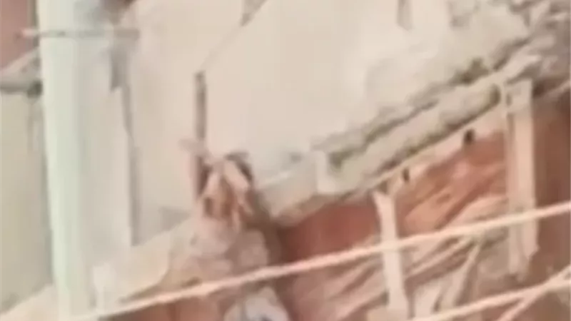 خوفا من الأب ..طفلة الـ 12 عامًا تقفز من الرابع لحظة رؤية والدها.