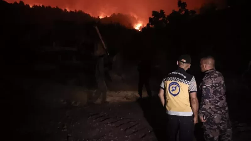 حريق غابات ضخم في ولاية أمريكية يلتهم 10 آلاف فدان