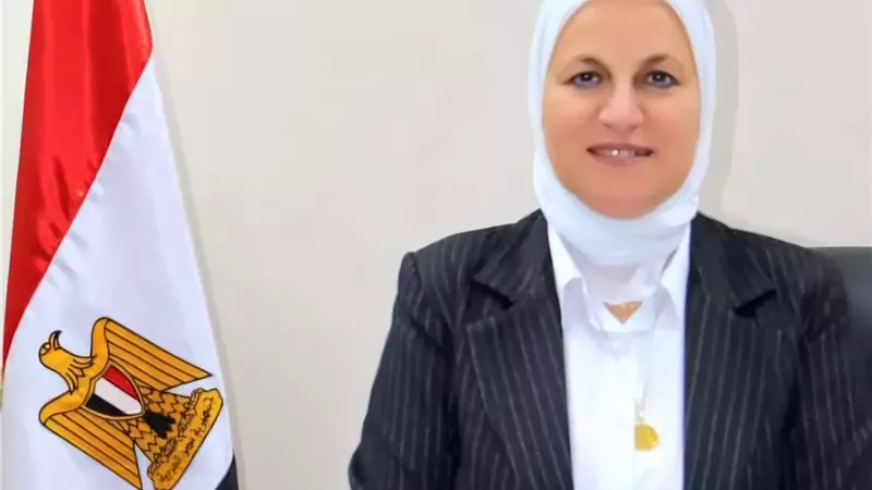 مدير 