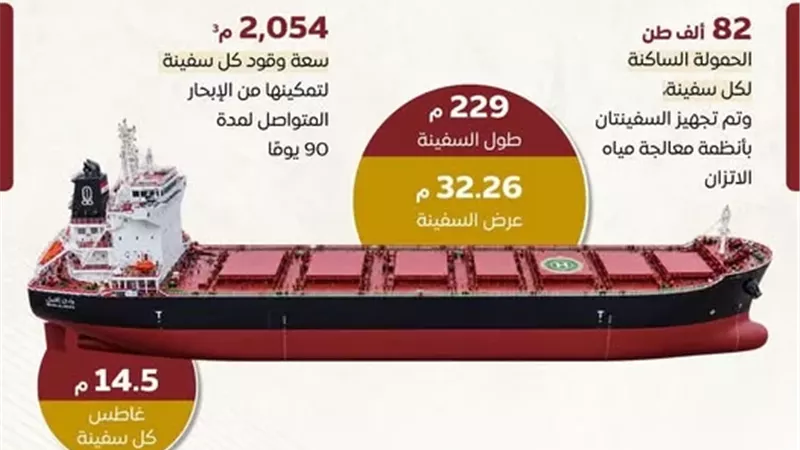 مجلس الوزراء يكشف مواصفات سفينتي الصب الجاف الجديدتين