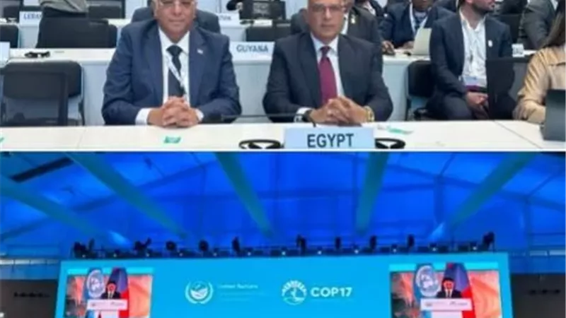 وزير الري يشارك في فعاليات مؤتمر مكافحة التصحر COP17