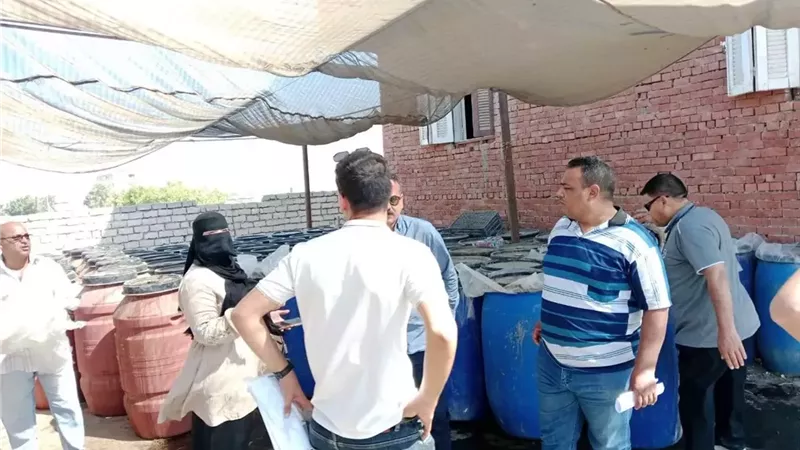 ضبط 30 طن مخلل زيتون فاسد في الإسماعيلية..صور