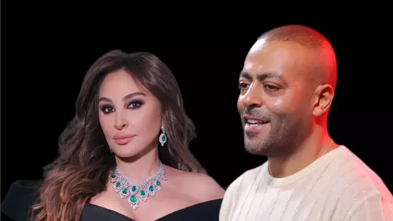 إرشادات وأسعار تذاكر حفل تامر عاشور وإليسا