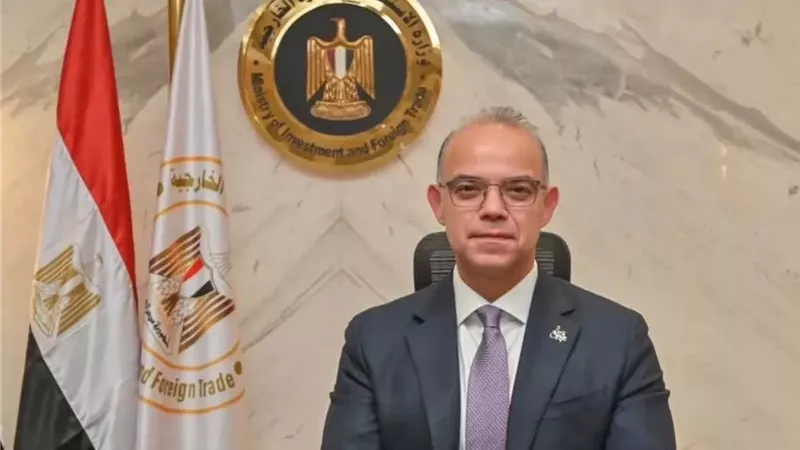 الوزراء يوافق على منح«نيفير منيا»الرخصة الذهبية لمشروع طاقة شمسية