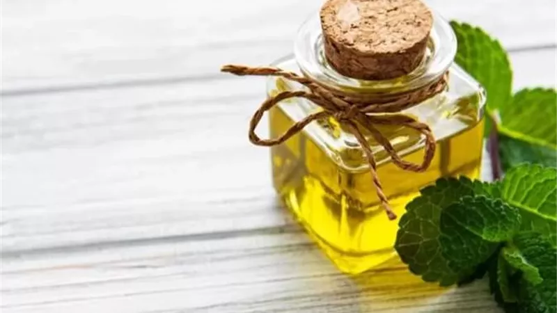 زيت النعناع يمنحك فوائد صحية هامة لدعم صحة جهازك الهضمي