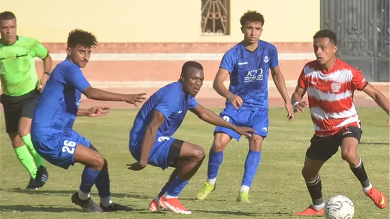 مالية كفرالزيات وطنطا حبايب