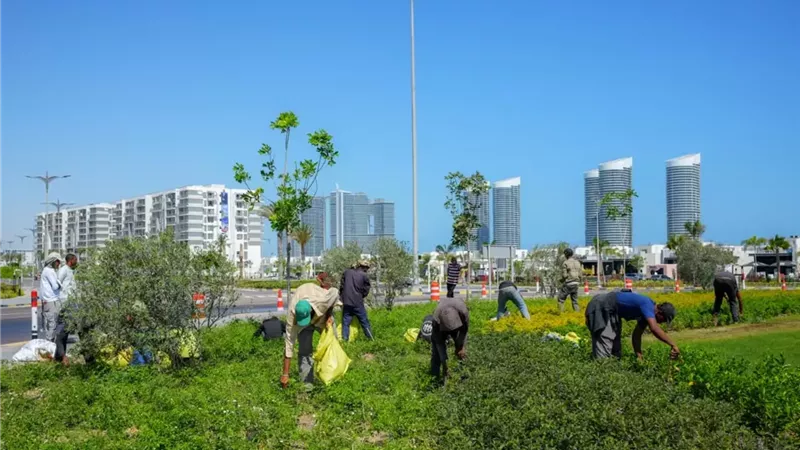 العلمين الجديدة..تواصل الحفاظ على المسطحات الخضراء