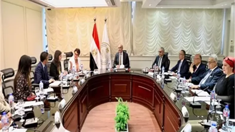 وزير التعليم يبحث مع ممثلي الأمم المتحدة سبل دعم التعليم قبل الجامعي