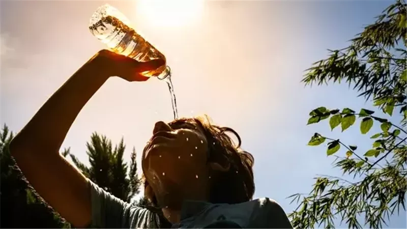 الأرصاد تكشف تفاصيل طقس الاثنين.. حرارة ورطوبة وشبورة مائية