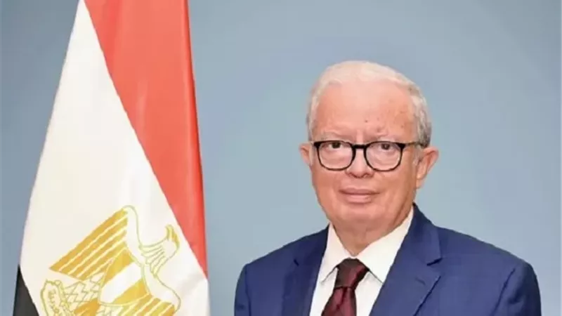 نائب رئيس الوزراء يصل قيرغيزستان للمشاركة في قمة «شنغهاي»