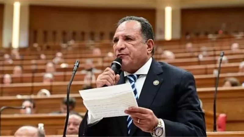 أبو هميلة: زيارة الرئيس الصيني لمصر محطة استراتيجية لتعميق الشراكة وتعزيز الأمن القومي العربي