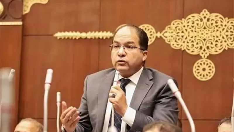 النائب عادل اللمعي: زيارة الرئيس الصيني لمصر دعم قوي لدور القاهرة المحوري في الشرق الأوسط وأفريقيا