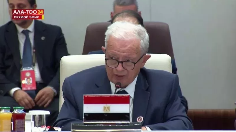 نائب رئيس الوزراء يلقي كلمة مصر أمام قمة شنغهاي للتعاون في بيشكيك