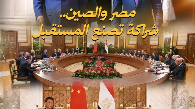 تنسيقية شباب الأحزاب والسياسيين: مصر والصين.. شراكة تصنع المستقبل