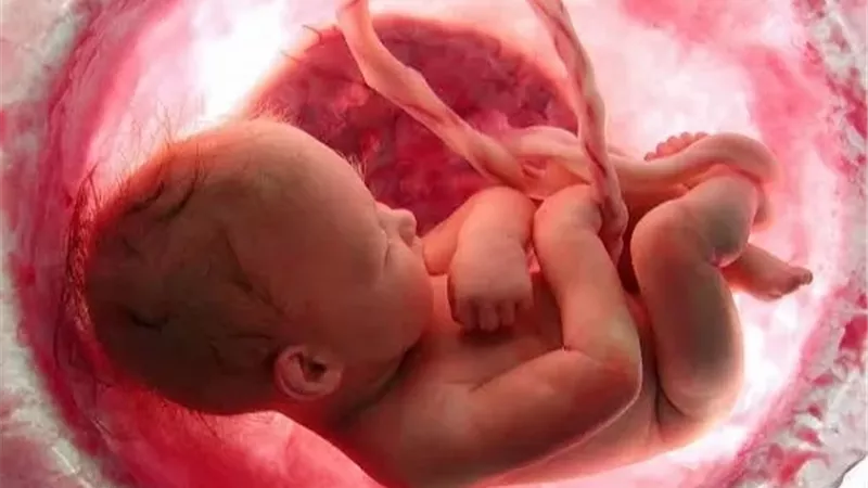 أحكام تجهيز الجنين والسِقْط وموقف الشرع من حرق أجنة الإجهاض