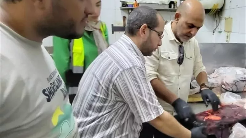 ضبط 780 كيلو لحوم فاسدة ومذبوحة خارج المجازر في شبرا الخيمة