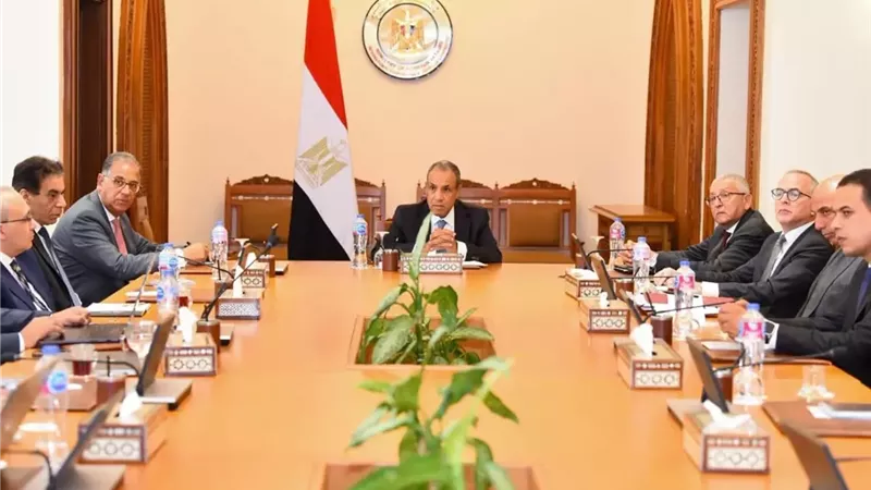 وزير الخارجية يتابع مستجدات إنشاء المنصة الإلكترونية للخدمات القنصلية للمصريين بالخارج