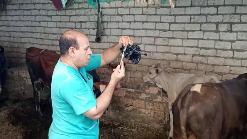 حملات تحصين للوقاية من الأمراض بالمراكز والقرى بأسيوط