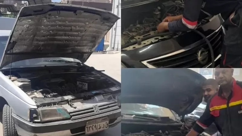 تحول أخضر بجامعة بنها.. بدء تحويل أسطول السيارات للعمل بالغاز الطبيعي