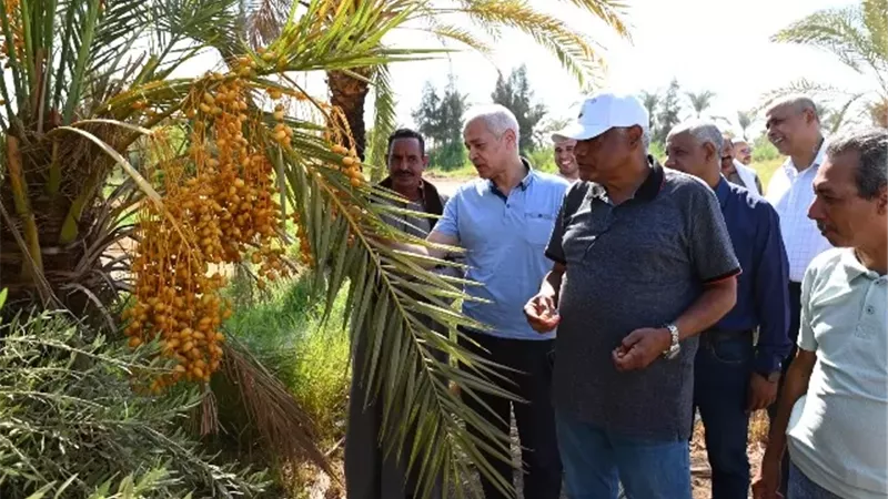 رئيس جامعة أسيوط يتفقد مزارع الجامعة بالوادي الأسيوطي والغريب