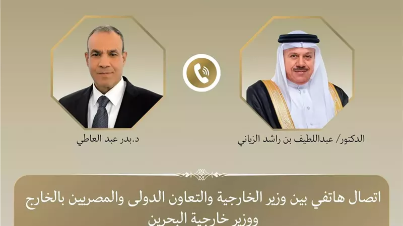 وزير الخارجية يؤكد تضامن مصر مع البحرين ضد أي تهديدات تمس أمنها