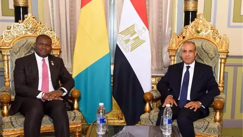 وزير الخارجية يلتقي وزير التعاون الدولي والتخطيط بغينيا