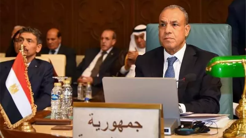وزير الخارجية: القضية الفلسطينية تظل جوهر الأمن والاستقرار في المنطقة