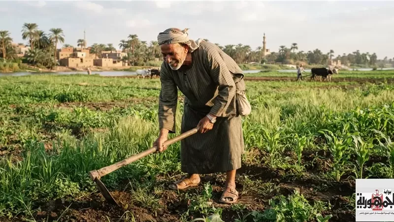 زكاة الأرض المؤجرة على صاحبها أم على مستأجرها؟.. الإفتاء تجيب