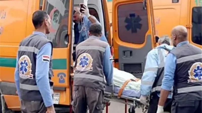 طفل يقود سيارة مسرعة يدهس 4 فى بسيون