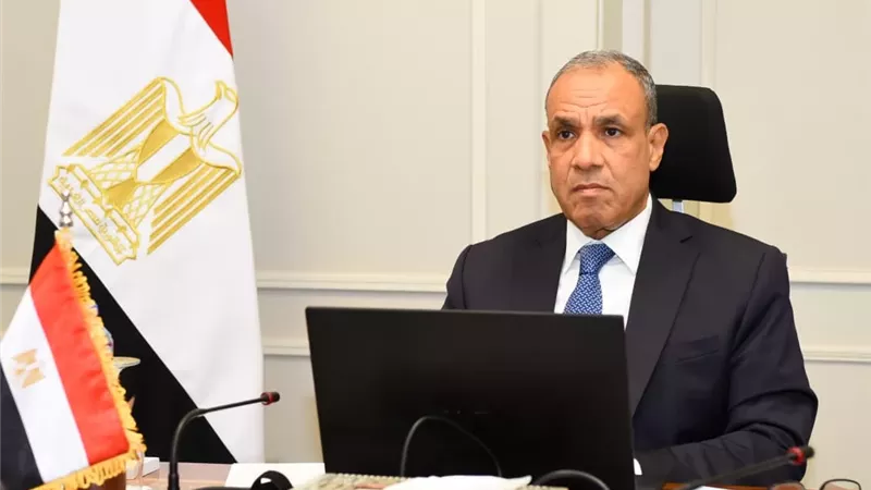 وزير الخارجية: أفريقيا تمثل أولوية رئيسية في العمل الدبلوماسي المصري