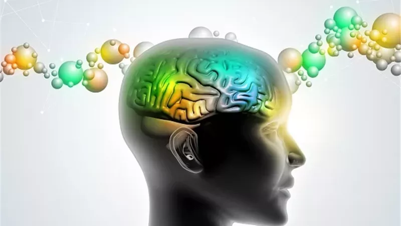 حمض أميني يثير تساؤلات حول عمر الرجال.. ماذا كشفت الدراسة؟