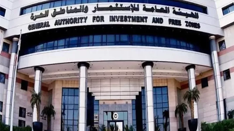 استثمارات إماراتية جديدة في قطاع الصناعات الغذائية بمصر