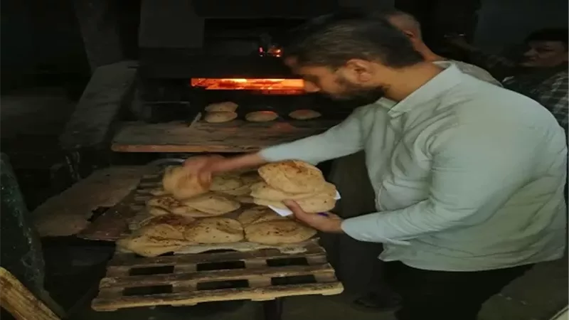 تحرير 291 محضرًا للمخابز البلدية خلال حملات مكثفة بأسيوط