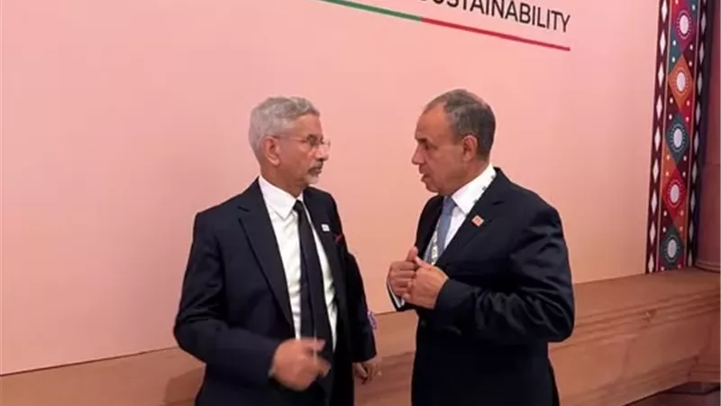وزير الخارجية يلتقي نظيره الهندي