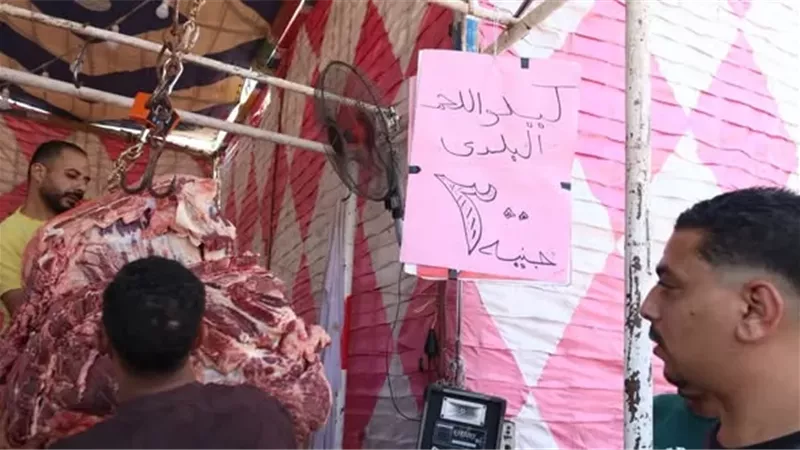 محافظ الإسماعيلية يُطلق مبادرة لطرح اللحوم البلدية بـ٣٠٠ جنيه