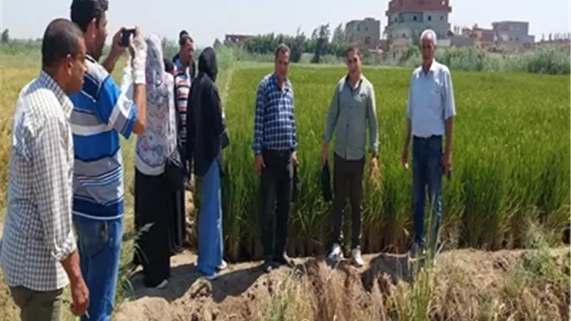 ︎ جامعة قناة السويس تنفذ قوافل تنموية شاملة بقرية التل الصغيرة