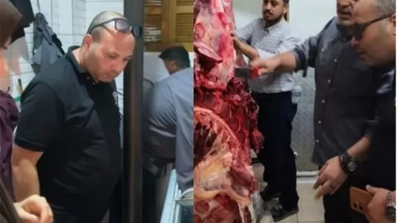 لحوم فاسدة في قبضة الرقابة.. ضبط 150 كيلو مذبوحة خارج المجازر بالعبور