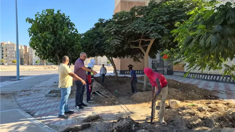 العلمين الجديدة ترفع كفاءة الزراعات وشبكات الري بالإسكان المتميز