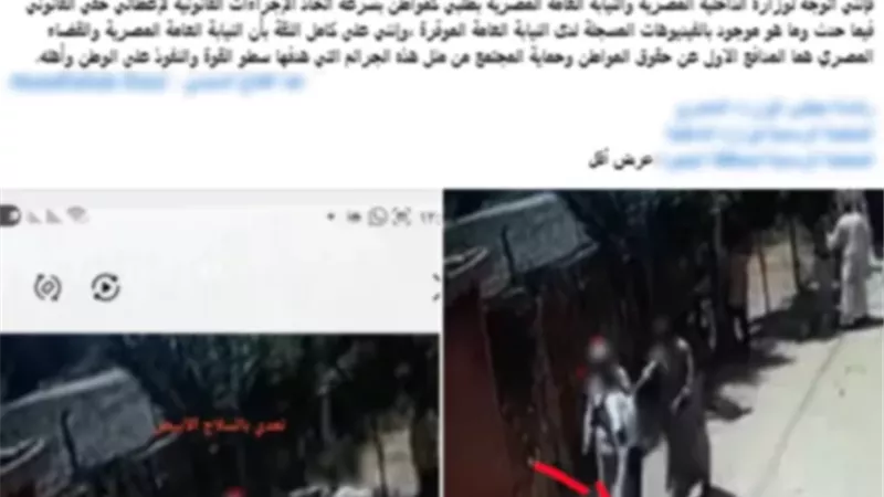 كواليس التعدي على طباخ وشقيقته بالبحيرة وضبط 7 متهمين