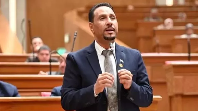 برلماني عن الروابط المصرية السعودية: نموذج راسخ للعلاقات العربية