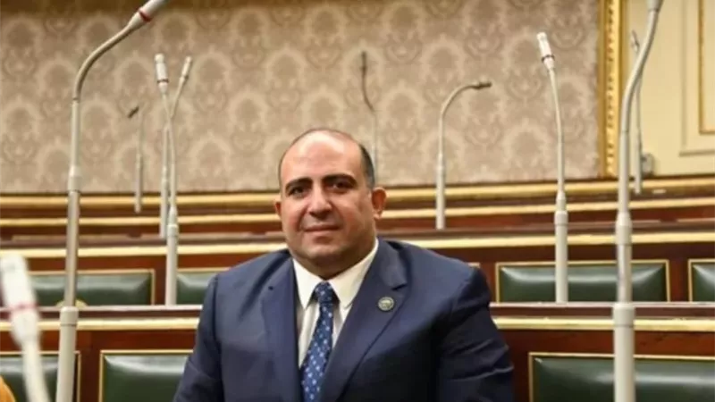 النائب محمد سليم: العلاقات المصرية السعودية شهدت طفرة في عهد الرئيس السيسي