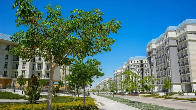 الإسكان تزرع 1.9 مليون شجرة بالمدن الجديدة ضمن 