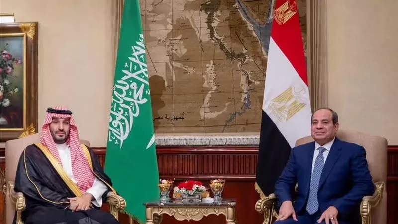 صحيفة «عكاظ» ترصد أصداء القمة المصرية السعودية