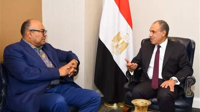 وزير الخارجية ونظيره التنزاني يبحثان سبل تعزيز العلاقات الثنائية