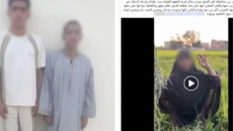 القبض على مزارع ونجله أتلفا محصول جارتهم بكفر الشيخ