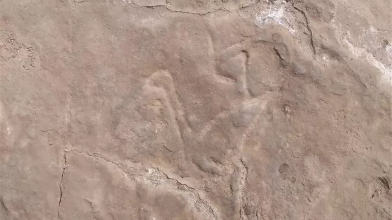 العثور علي ميناء نقل الأحجار من محاجر جبل السلسة لبناء المعابد