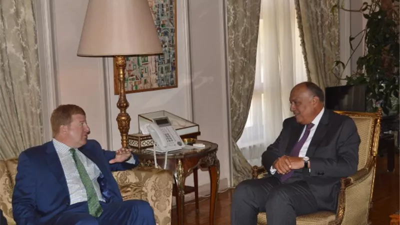 وزير الخارجية يستقبل نائب رئيس غرفة التجارة الأمريكية