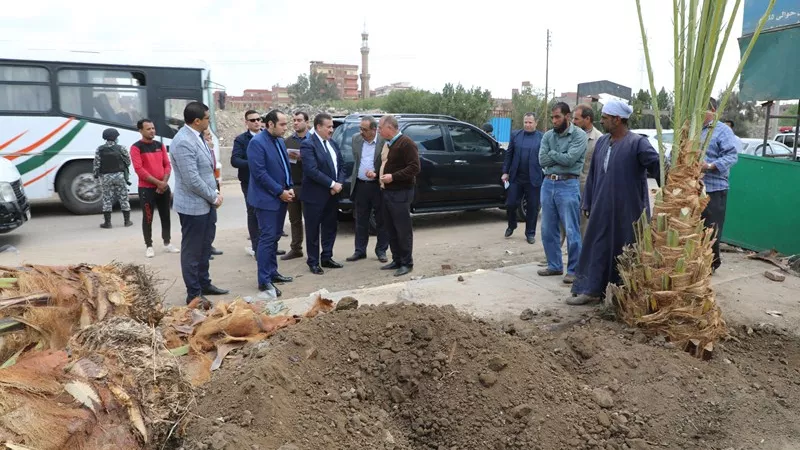 تعرف على أحدث مزرعة نخيل فى مصر .. صـــور وفيديو