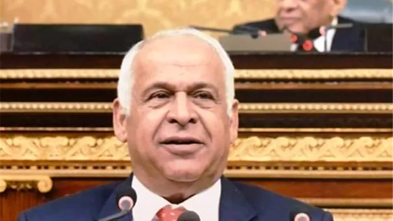 لجنة الصناعة بمجلس النواب تطالب بإزالة كافة المعوقات أمام البورصه السلعية