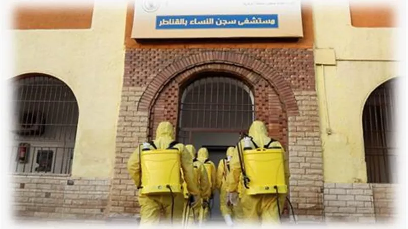 الرومانية هاليب تعلن تعافيها من الإصابة